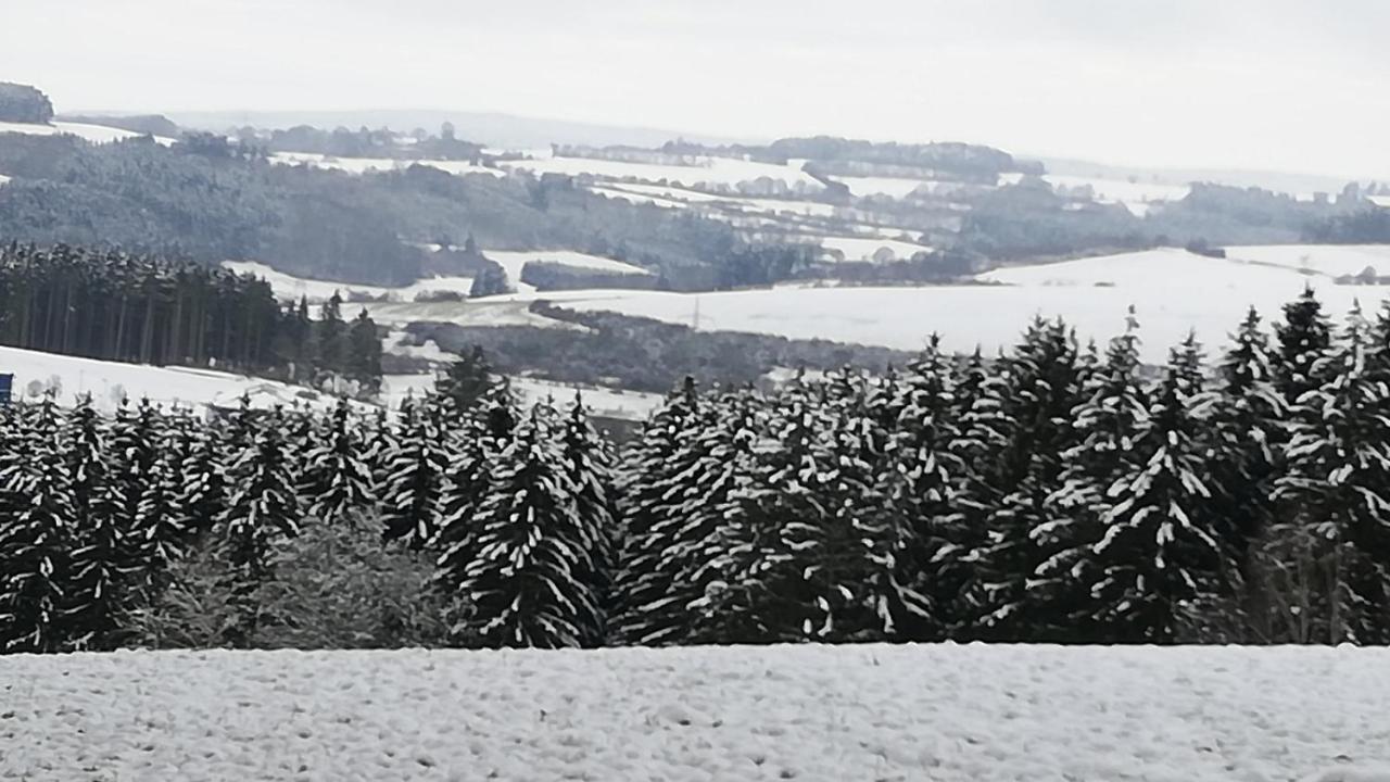 Eifel-Ferienhaus Marga Prüm Extérieur photo
