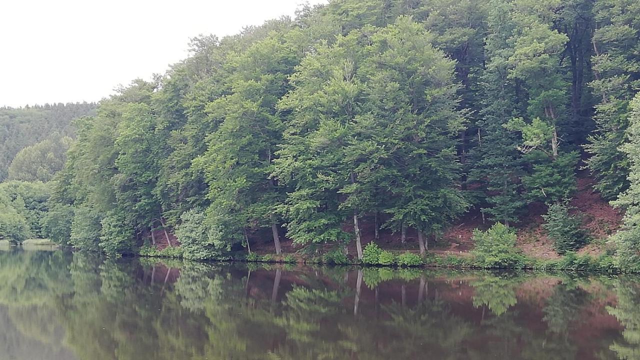 Eifel-Ferienhaus Marga Prüm Extérieur photo